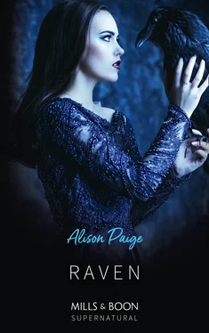 Alison Paige Raven обложка книги