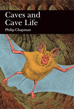 Philip Chapman Caves and Cave Life обложка книги