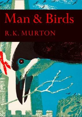 R. K. Murton Man and Birds обложка книги