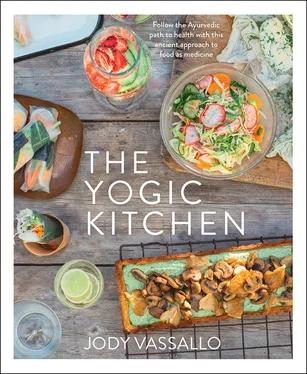 Jody Vassallo The Yogic Kitchen обложка книги
