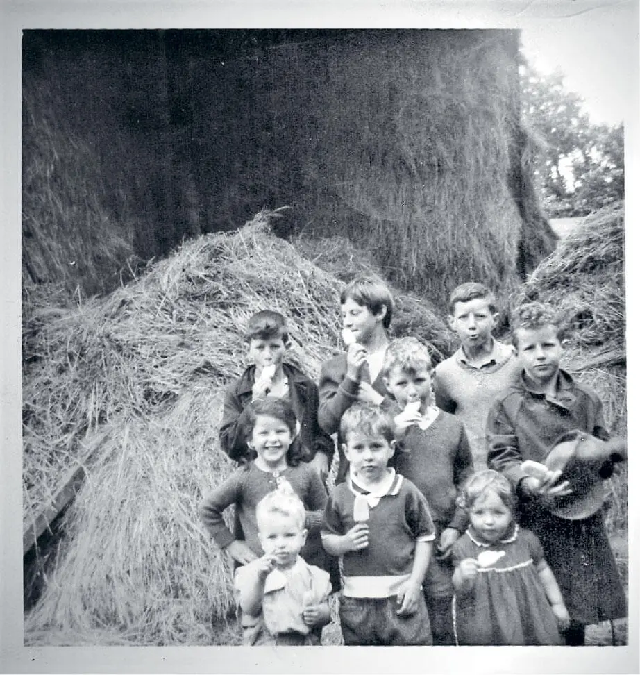 Underneath the rows and rows of Scots pines that separated the cottage from the - фото 9
