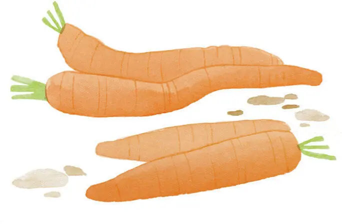 I spent a lot of time in the garden with Dad growing spuds cabbages carrots - фото 18