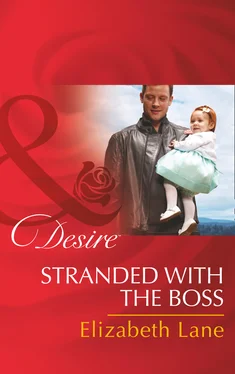 Elizabeth Lane Stranded With The Boss обложка книги