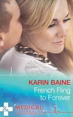 Karin Baine - French Fling To Forever