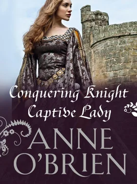 Anne O'Brien Conquering Knight, Captive Lady обложка книги