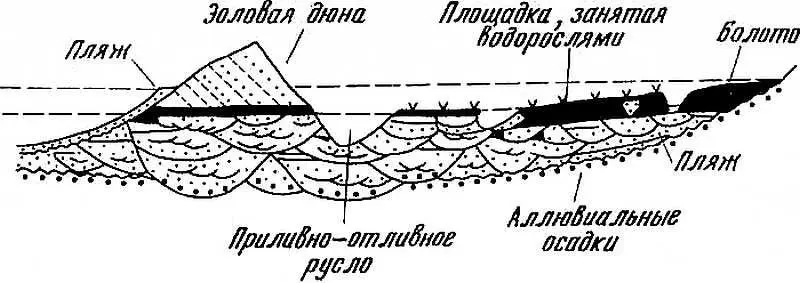 Рис 4 Седиментационные обстановки и различные тины осадков в лагуне Аркашон - фото 20