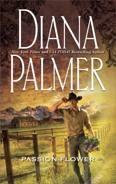 Diana Palmer Passion Flower обложка книги