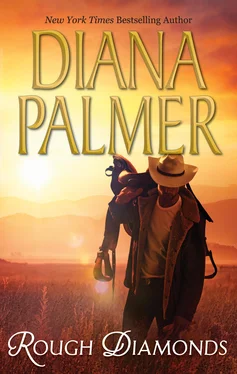 Diana Palmer Rough Diamonds обложка книги