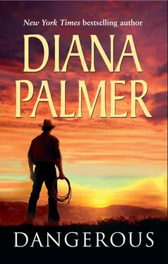 Diana Palmer Dangerous обложка книги