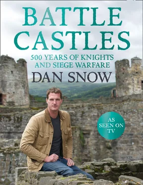 Dan Snow Battle Castles обложка книги