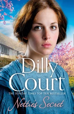 Dilly Court Nettie’s Secret обложка книги