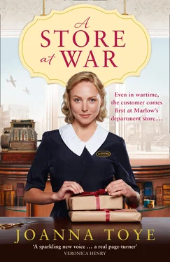 Joanna Toye A Store at War обложка книги