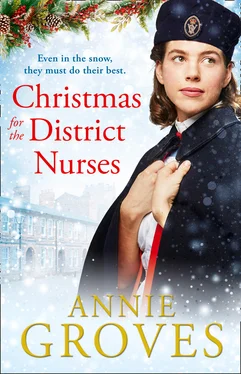 Annie Groves Christmas for the District Nurses обложка книги