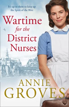 Annie Groves Wartime for the District Nurses обложка книги