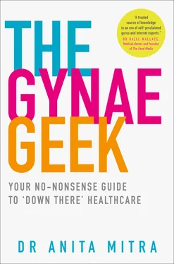 Dr Anita Mitra The Gynae Geek обложка книги