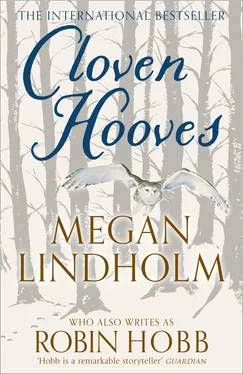 Megan Lindholm Cloven Hooves обложка книги