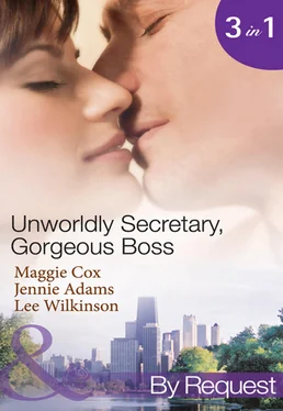 Lee Wilkinson Unwordly Secretary, Gorgeous Boss обложка книги
