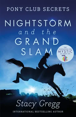 Stacy Gregg Nightstorm and the Grand Slam обложка книги