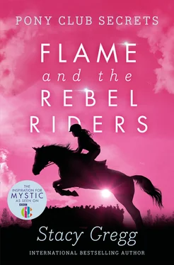 Stacy Gregg Flame and the Rebel Riders обложка книги