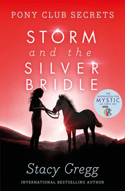 Stacy Gregg Storm and the Silver Bridle обложка книги