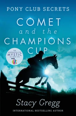 Stacy Gregg Comet and the Champion’s Cup обложка книги