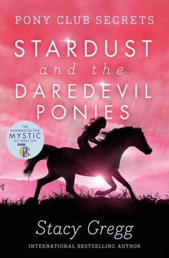 Stacy Gregg Stardust and the Daredevil Ponies обложка книги