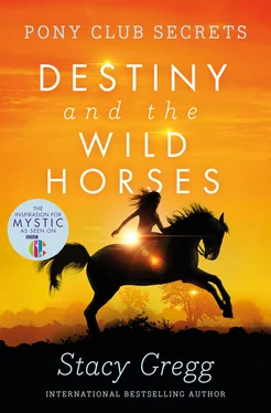 Stacy Gregg Destiny and the Wild Horses обложка книги
