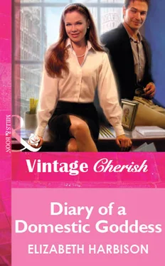 Elizabeth Harbison Diary of a Domestic Goddess обложка книги