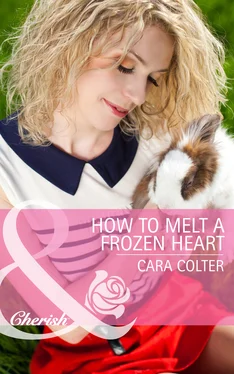 Cara Colter How to Melt a Frozen Heart обложка книги