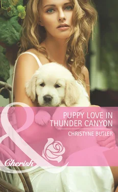 Christyne Butler Puppy Love In Thunder Canyon обложка книги
