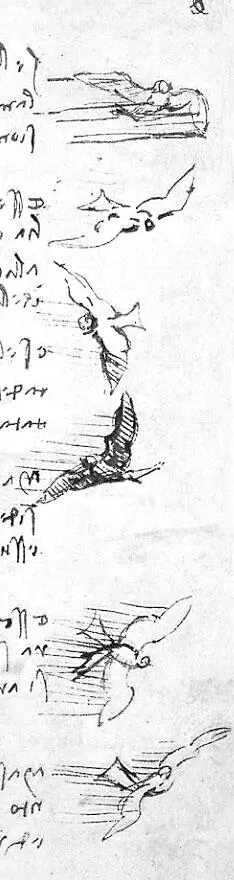 Птицы в полете Из Туринского кодекса примерно 1505 Первое психологические - фото 7