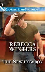 Rebecca Winters - The New Cowboy