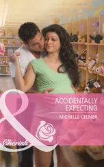 Michelle Celmer - Accidentally Expecting