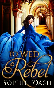 Sophie Dash To Wed A Rebel обложка книги