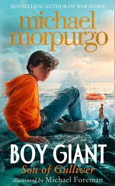 Michael Morpurgo Boy Giant обложка книги