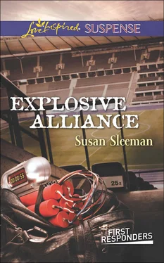 Susan Sleeman Explosive Alliance обложка книги