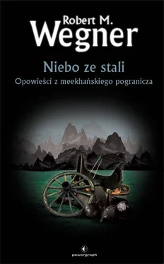 Robert Wegner Niebo ze stali обложка книги