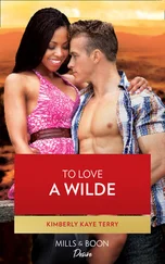 Kimberly Kaye Terry - To Love a Wilde