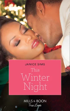 Janice Sims This Winter Night обложка книги