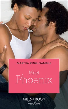 Marcia King-Gamble Meet Phoenix обложка книги