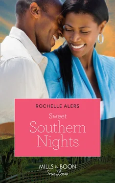 Rochelle Alers Sweet Southern Nights обложка книги