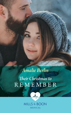 Amalie Berlin Their Christmas To Remember обложка книги