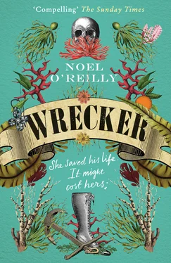 Noel O’Reilly Wrecker обложка книги