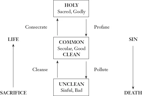 There are two processes going on The first process is when sacred godly holy - фото 21