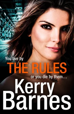Kerry Barnes The Rules обложка книги