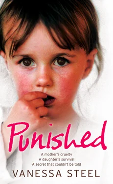 Vanessa Steel Punished обложка книги
