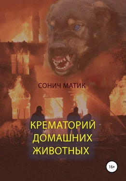 Сонич Матик Крематорий домашних животных обложка книги