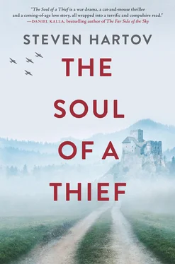 Steven Hartov The Soul Of A Thief обложка книги