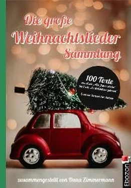 Dana Zimmermann Die große Weihnachtslieder Sammlung обложка книги