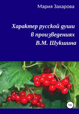 Мария Захарова Характер русской души в произведениях В.М. Шукшина обложка книги